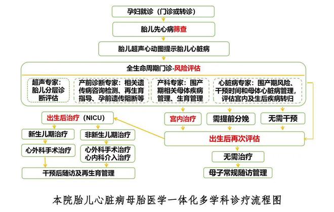 【數(shù)說2024】醫(yī)學(xué)遺傳中心2024年鑒(圖7)