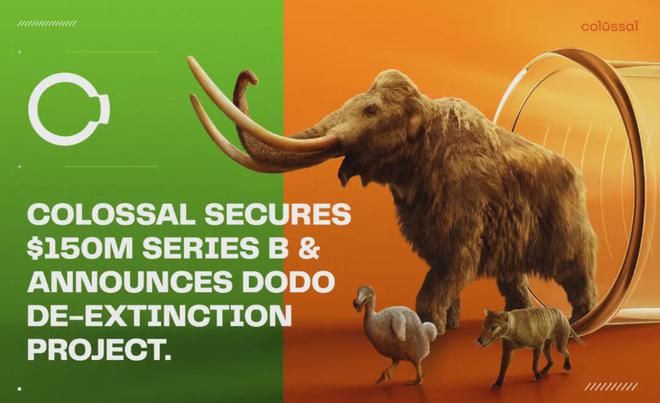 世界首次！喬治·丘奇團隊“復(fù)活”已滅絕一萬多年的“冰原狼”計劃2028年復(fù)活猛犸象(圖6)