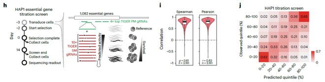 Nature子刊:用AI預(yù)測CRISPR基因編輯活性實現(xiàn)對基因表達水平的精準調(diào)控(圖3)