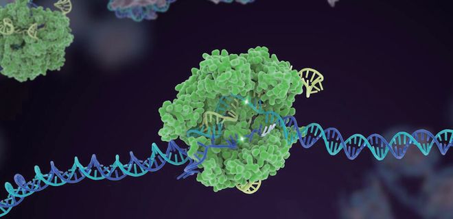 押寶CRISPR和人工智能！張澤民院士團隊的研究方向開始更新了！(圖2)